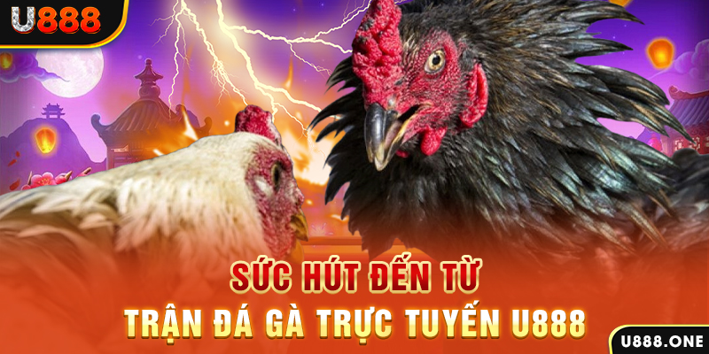 vz88 đá gà trực tiếp c1