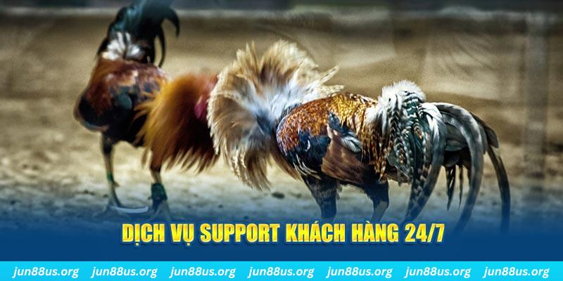 vz88 ÁT CHỦ BÀI GIÀNH LẤY ZHUANG NIUNIU ( XEM 4 LÁ )