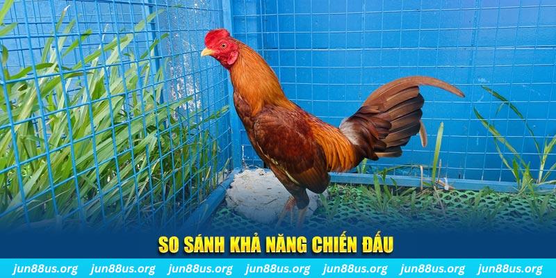 vz88 CQ9 Điện Tử