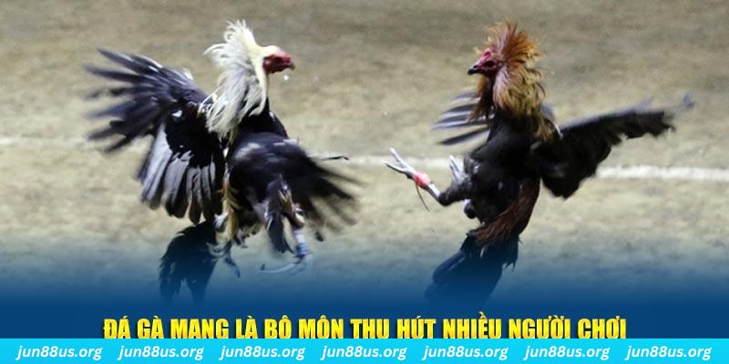 vz88 bắn cá au88