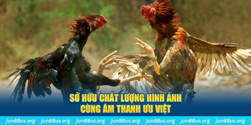 vz88 PP Điện Tử