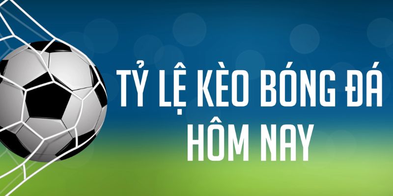 vz88 gà chọi c1 mới nhất