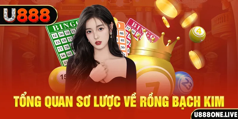 hũ 8 bit nổ như thế nào