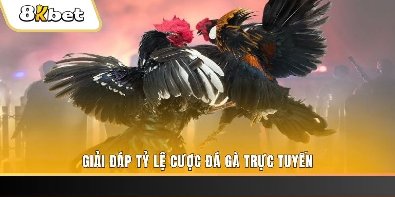 vz88 xổ số đài miền trung