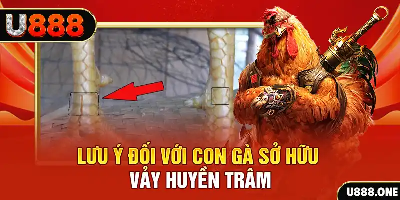 vz88 kết quả xổ số miền nam hôm nay