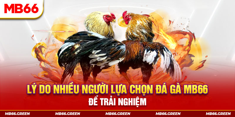 vz88 xổ số miền bắc thứ bảy hàng tuần