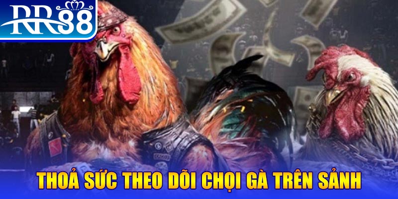 vz88 trực tiếp đá gà c1