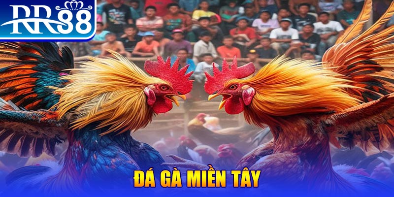 vz88 no hu doi thuong ai