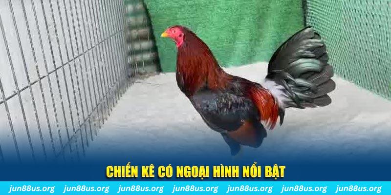 vz88 game nổ hũ là gì