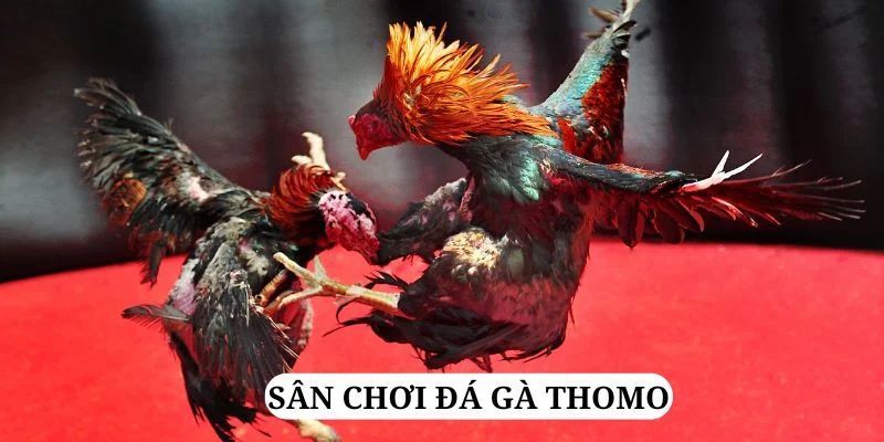 vz88 trực tiếp xổ số miền bắc